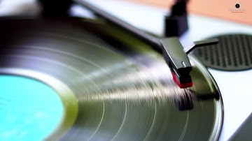 Thumbnail of lignum vitae