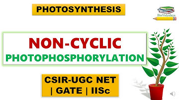 Photosynthesis - Non cyclic Photophosphorylation | CSIR NET Lifescience
