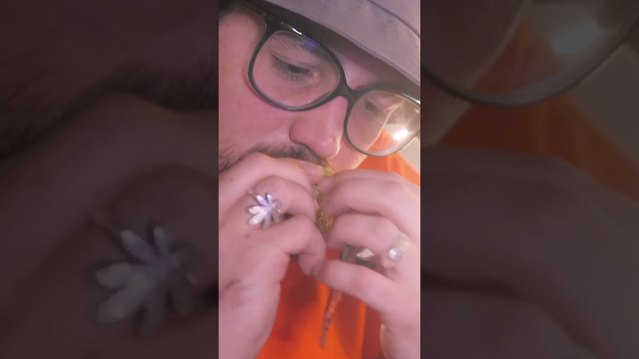 Judging process | Cannabis Competition | Autoflower World Cup 2022 