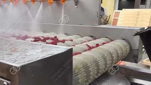 dates clean processing plant manufacturers