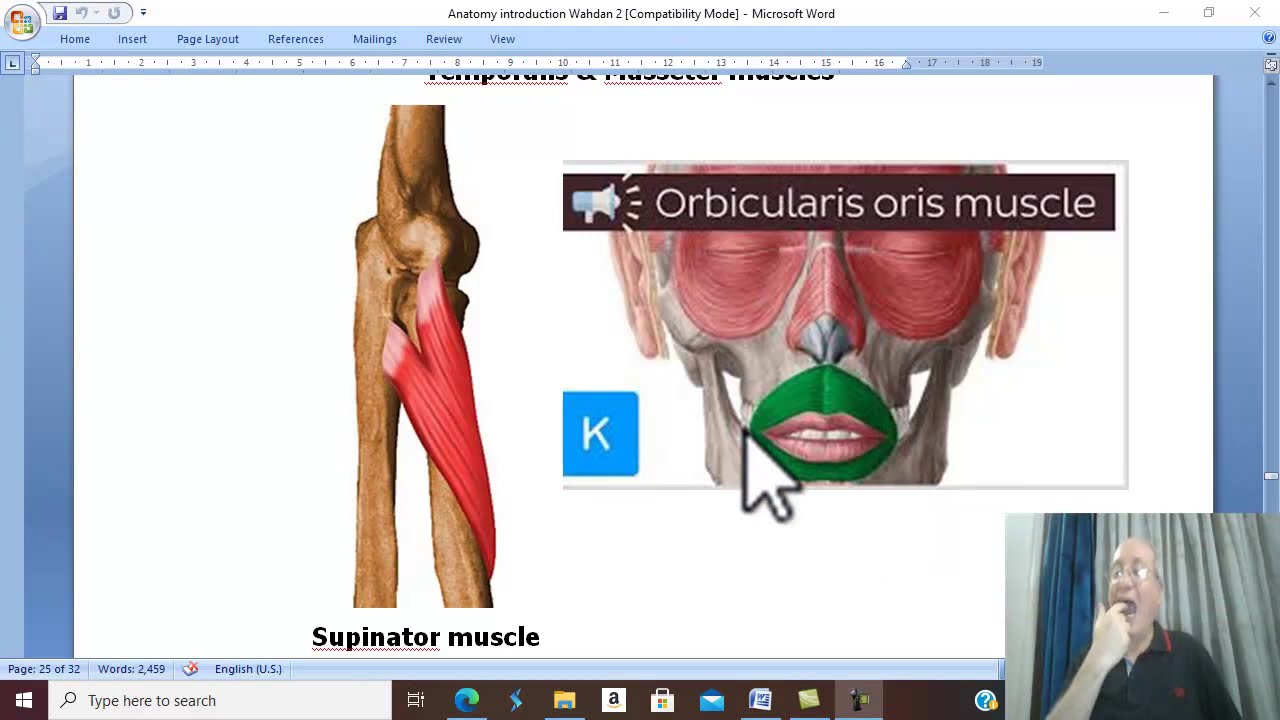 Introduction to anatomy in Arabic 14 (Muscles, part 2 ) , by Dr. Wahdan .