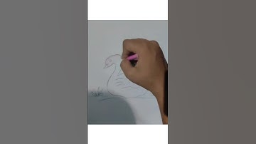 How to draw Swan Step by Step l Easy drawing and Colouring idea 🦢
