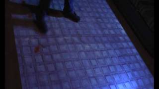 Interactive Floor Splat the bugs