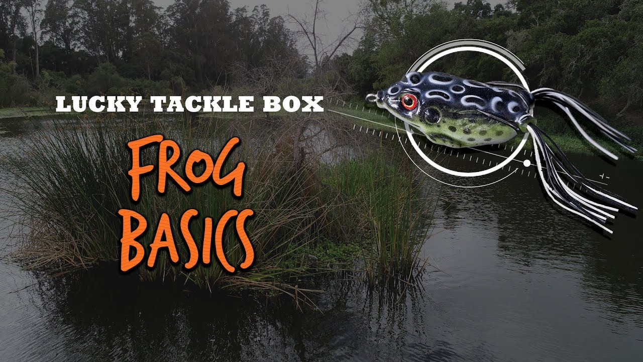 Frog Fishing – Do It Like A Pro