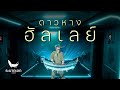 ดาวหางฮัลเลย์ (Halley&#39;s Comet) - fellow fellow | ระนาดเอก (cover) | Fino the Ranad