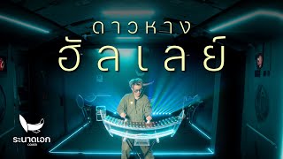 ดาวหางฮัลเลย์ (Halley's Comet) - fellow fellow | ระนาดเอก (cover) | Fino the Ranad