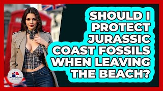 Should I Protect Jurassic Coast Fossils When Leaving The Beach? - United Kingdom Explorers
