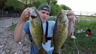 Catching BIG Smallmouth Bass on the Fox river