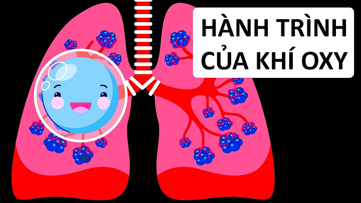 So sánh hệ thống máy tính với cơ thể người năm 2024