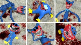 ALL HUGGY WUGGY CHARACTERS TORTURE!! Garry's Mod!!!