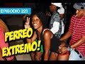 Perreo Extremo l whatdafaqshow.com