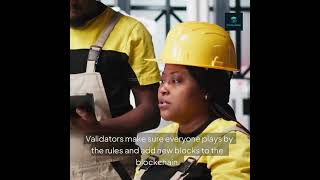 Lesson -24- What’s a Validator Node? The Network’s Honest Watchdog