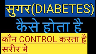 Diabetes  Sugar level kaise balance raheta hai body me by #Mystery of Medicine