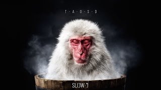 Video thumbnail of "Slow J - Casa (Official Audio)"