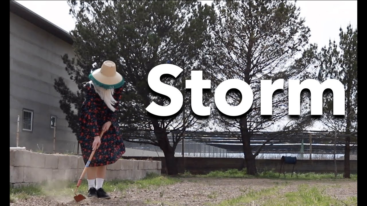 Plautdietsch | Storm | Menonita Mexicana