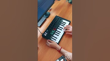 Avicii - Wake Me Up (Live Loop Cover) | Minilab 3