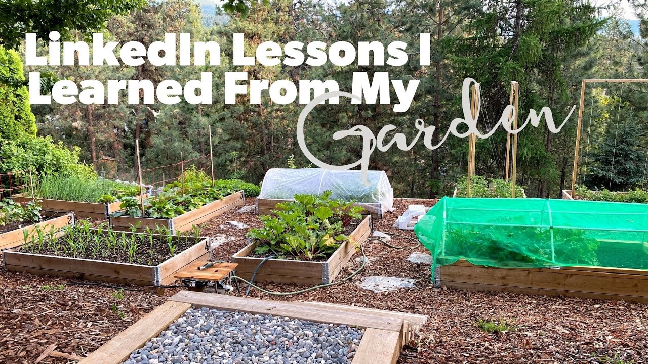 LinkedIn Lessons I Learned From My Garden
