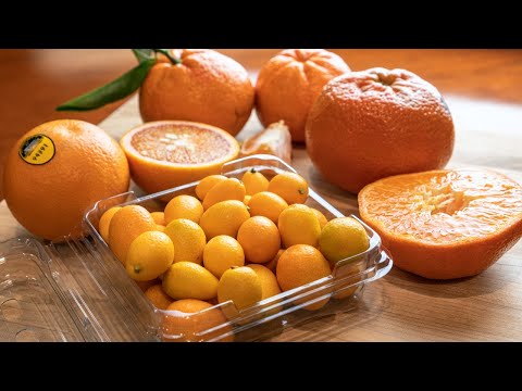 Video: Vad är Kumquat