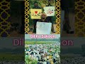 Ruhani Azan || Makkah Sharif || Dil Ko Sukoon 🤍 √~`•®