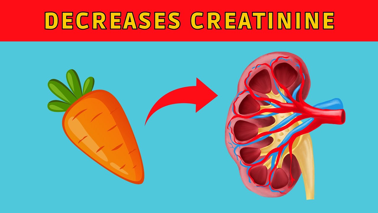 Discover the Superfoods that Boost Kidney Health - YouTube