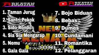 FULL ALBUM // NEW RENATA INDONESIA // LIVE NGORO