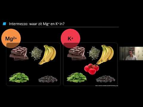 Een erfelijke nierziekte door problemen in de ‘energiefabriekjes&rsquo;