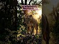 जिंकायचं असेल तर सिंहासारखी 🦁जिद्द ठेवा... ✨ #motivation #successmindset #winner #inspirationalvideo