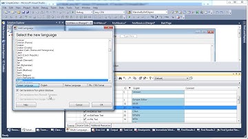 Multi-Language for Visual Studio support localization with .NET
