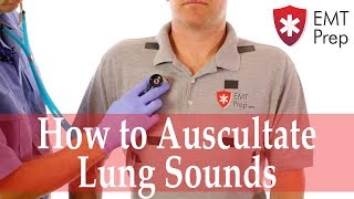 How to Auscultate Lung Sounds - EMTprep.com