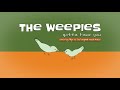 The Weepies - Gotta Have You (Cover by Alyx G. w/ Original Vocals)