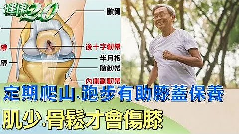 最有效美容！刘嘉玲热爱爬山 延缓老化防肌少 健康2.0 - 天天要闻