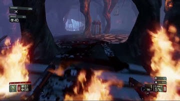 Killing Floor 2 PS4 Gameplay Graphic Bug~ Dirty Harry Would be Proud