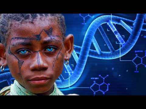 Video: Research: The Inhabitants Of Melanesia Interbred With The Mysterious Hominids - Alternative View