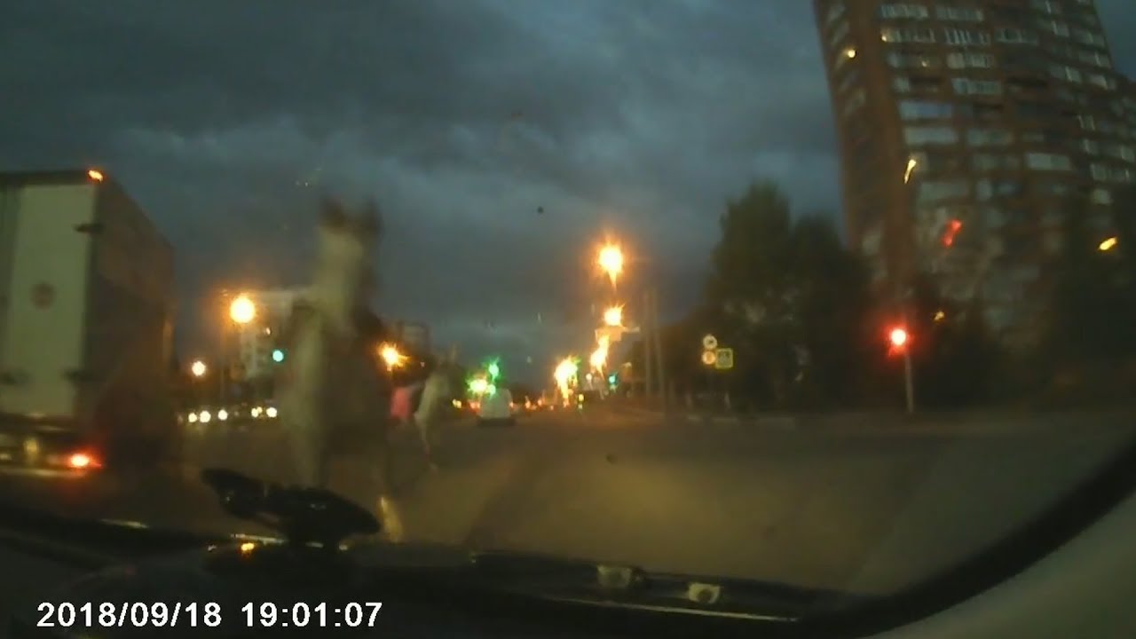 Лошадь врезалась в машину