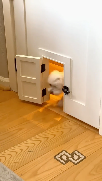 Re-sharing the Lego room doggie door because it's fun and cute 😉 #cute #cuteanimals #customdoor