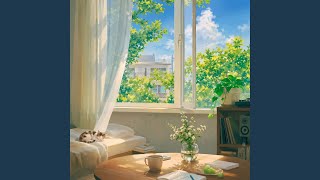 Soft Curtains