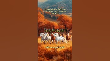 سورة الأنفال، [الآية: 60] القارئ الشيخ محمد الفقيه
