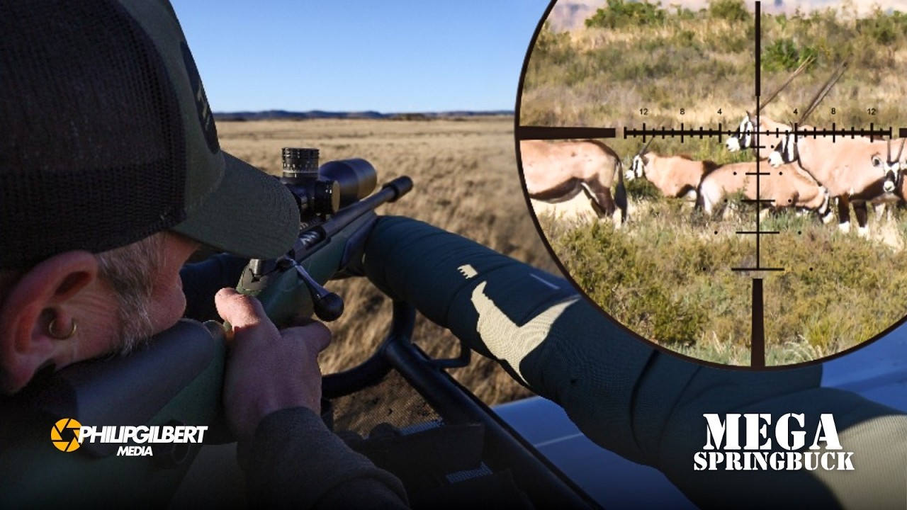 Springbuck Culling and Hunting Trophy Gemsbuck in the Karoo - Mega ...