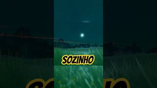 O QUE ZELDA ME ENSINOU SOBRE SOLITUDE. (vídeo completo no meu canal)#zelda #totk #nintendo