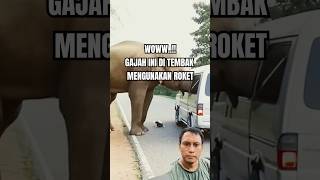 Gajah Ini Minta Jatah Preman