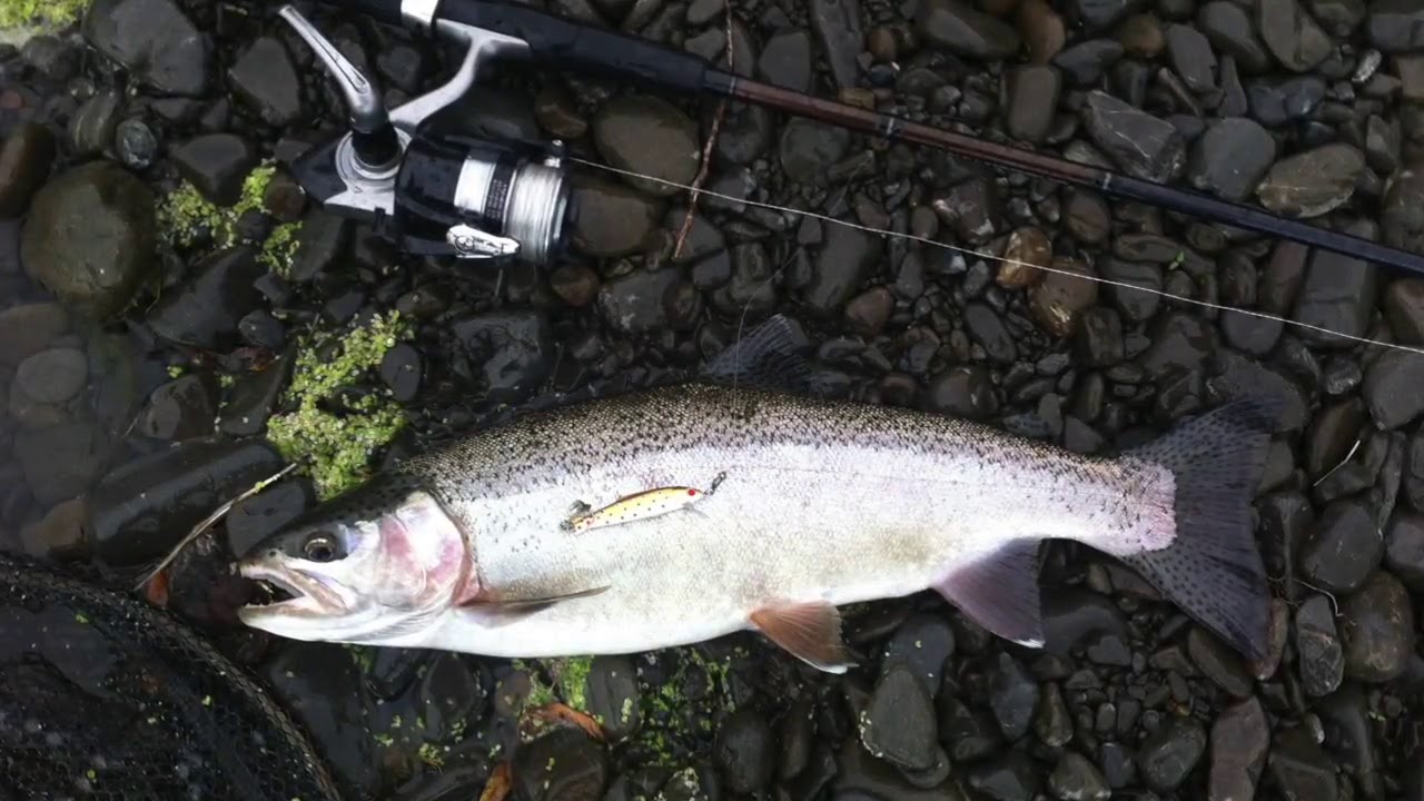 How to rig and use a BMax lure for freshwater spinning 