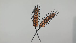 HOW TO DRAW WHEAT STEP BY STEP l EASY DRAWING TUTORIAL