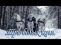 Три белых коня Песня Тройка (Три белых коня) из фильма «Чародеи»/текст в описании под видео