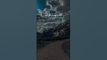 (" سألقي في قلوب الذين كفروا الرعب ") || سورة الأنفال | الشيخ ناصر القطامي