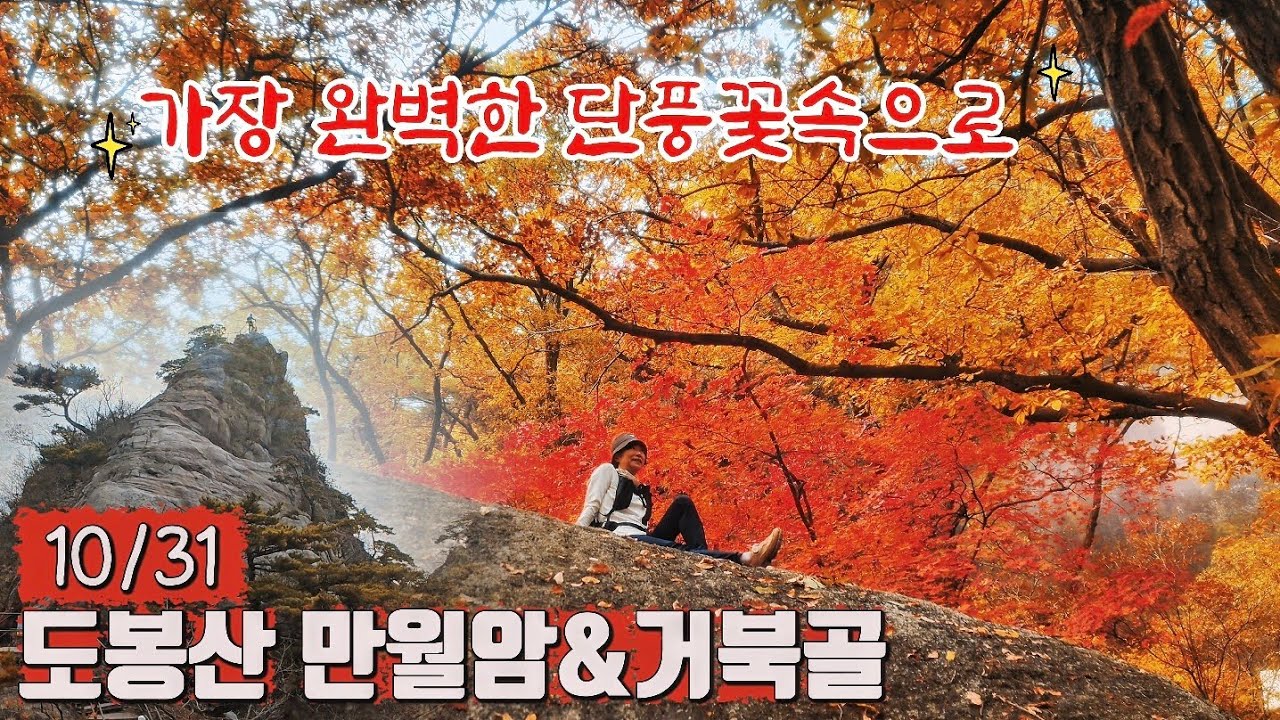 ​[단풍 절정] 🔥 오늘 10월 31일! 도봉산 만월암&거북골, 가장 완벽한 가을색을 담다 (4K 힐링 산행)