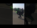 Z1000 wheelie 2019