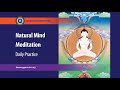 Natural Mind Meditation /Practice