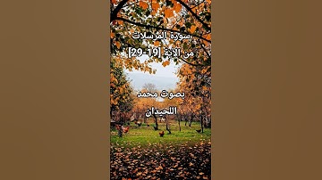 سورة المرسلات من الأية [١٩-٢٩]بصوت محمد اللحيدان #محمد_اللحيدان #محمد_اللحيدان_حالات_واتساب_قرآن