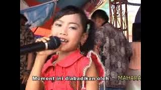 JANGAN GILA DONG (NIA NYENTRIK) || LIVE CUCU DARWIJEM