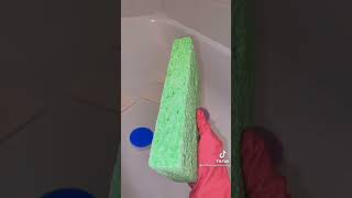 Cleaning toilets storytime